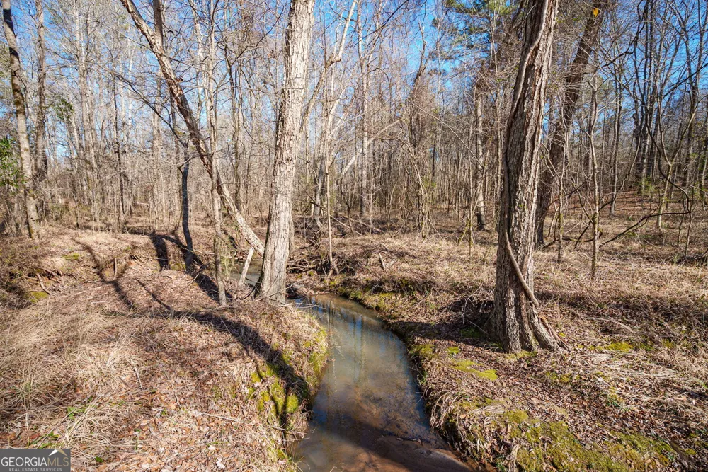 0 Warren RD White Plains, GA 30678