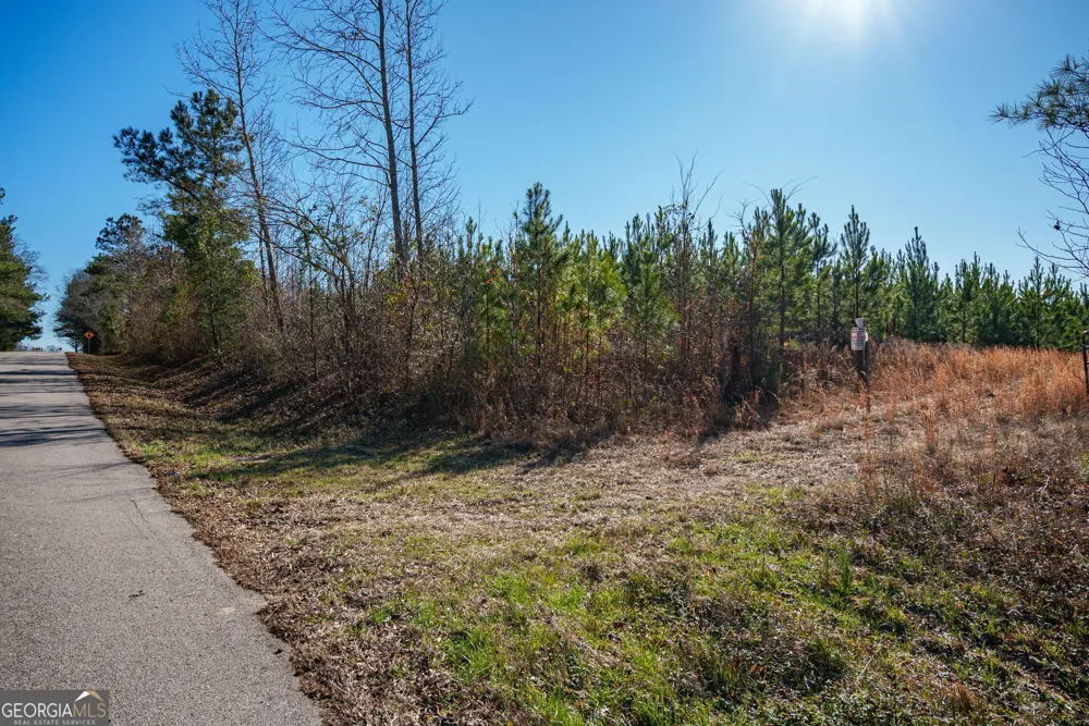 0 Warren RD White Plains, GA 30678