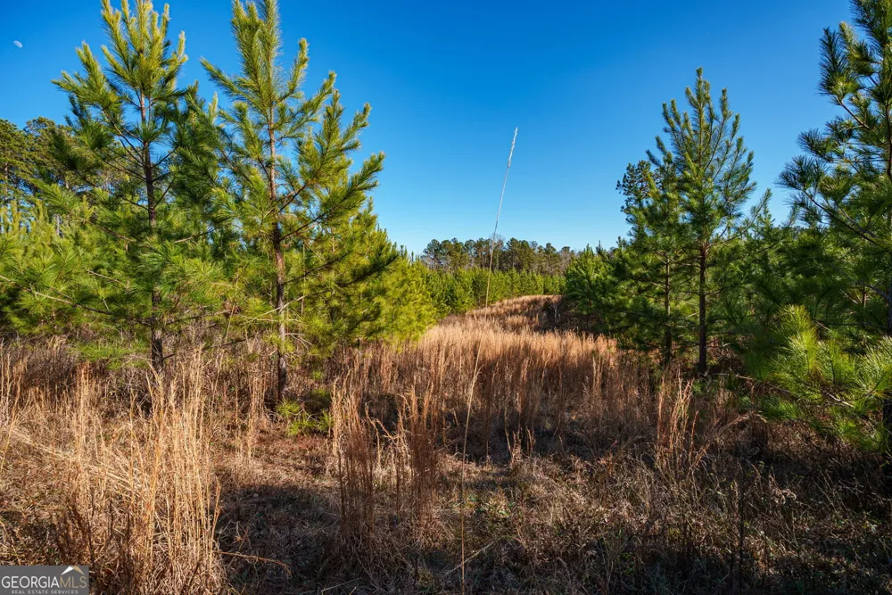 0 Crawfordville RD White Plains, GA 30678