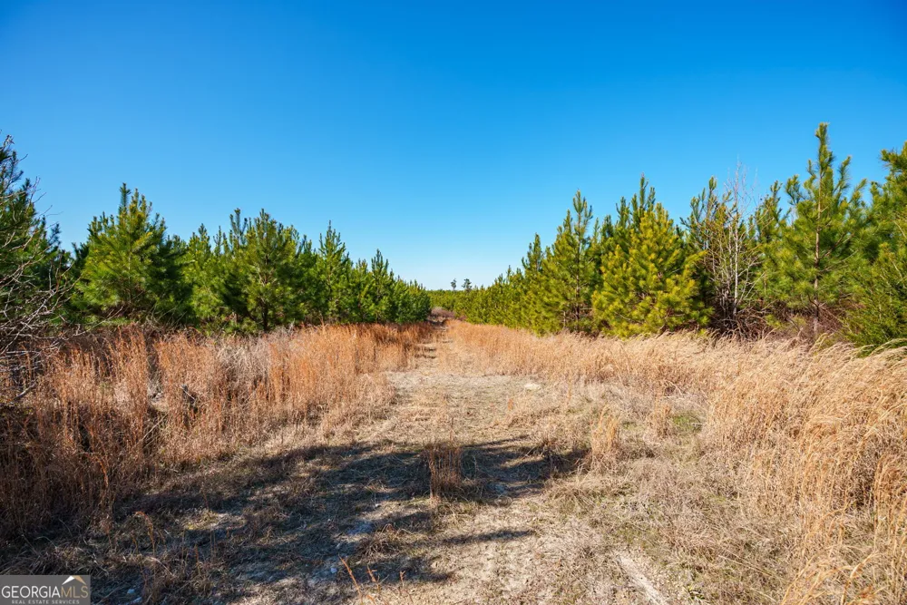 0 Crawfordville RD White Plains, GA 30678