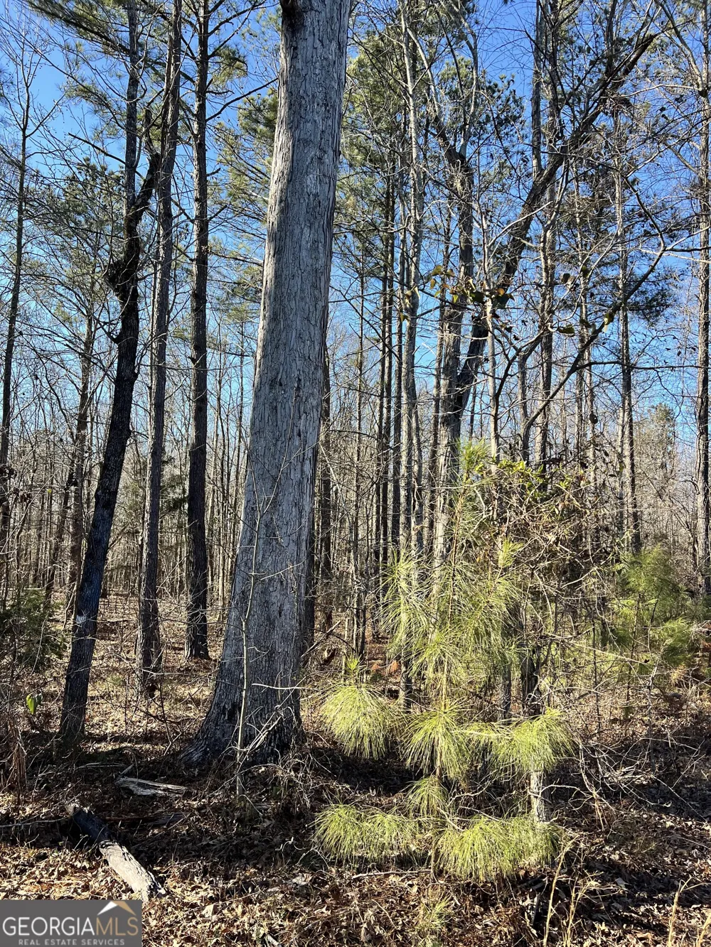 0 Crawfordville RD White Plains, GA 30678