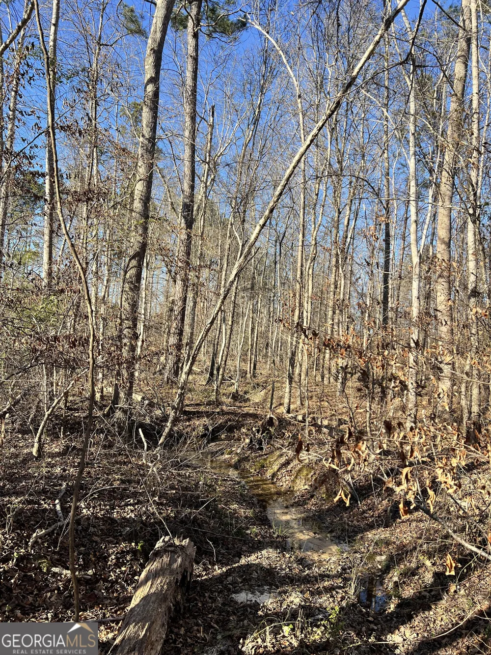 0 Crawfordville RD White Plains, GA 30678