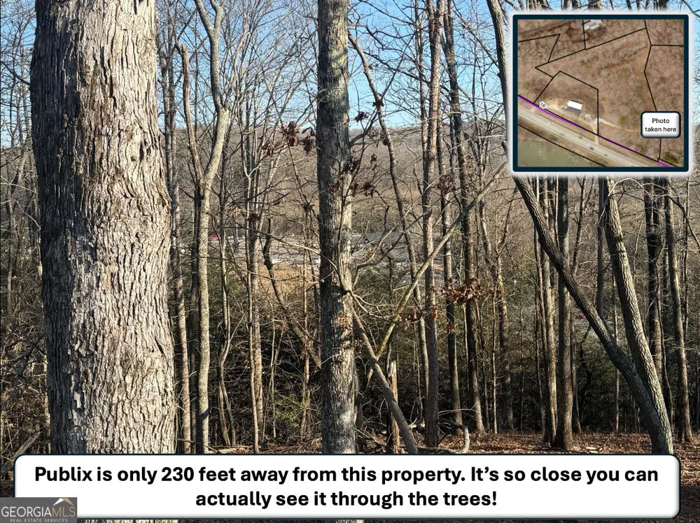 5195 South Chestatee ST Dahlonega, GA 30533