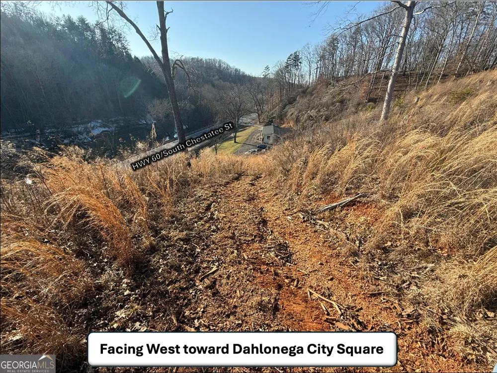 5195 South Chestatee ST Dahlonega, GA 30533