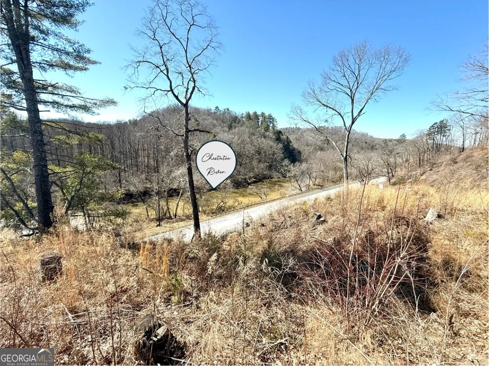 5195 South Chestatee ST Dahlonega, GA 30533