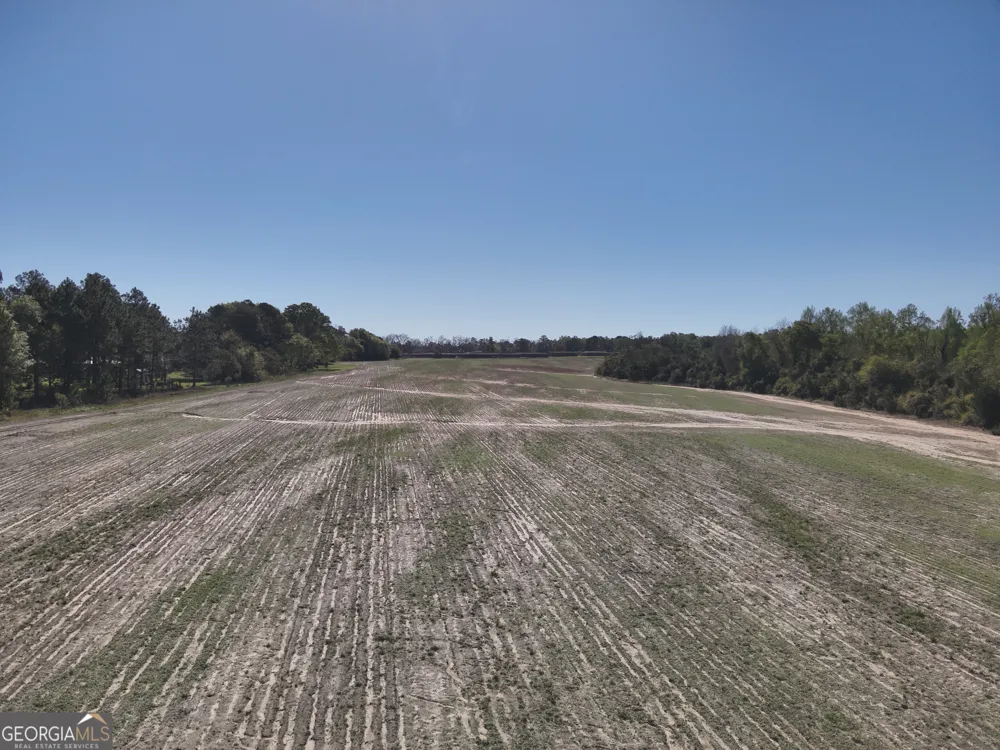 0 Old Pelham RD Pelham, GA 31779
