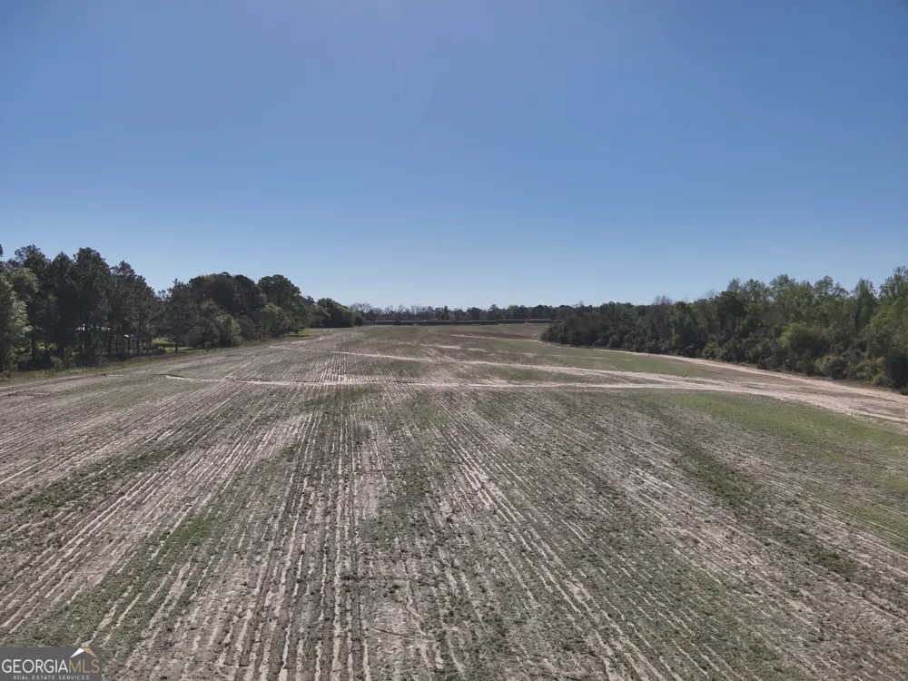 0 Old Pelham RD Pelham, GA 31779