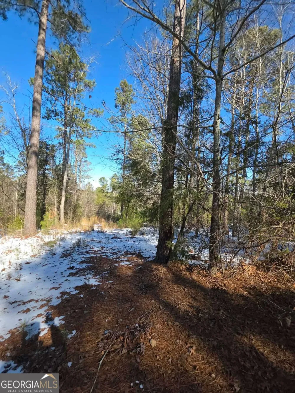 LOT 56 Hornets Bridge DR Elberton, GA 30635
