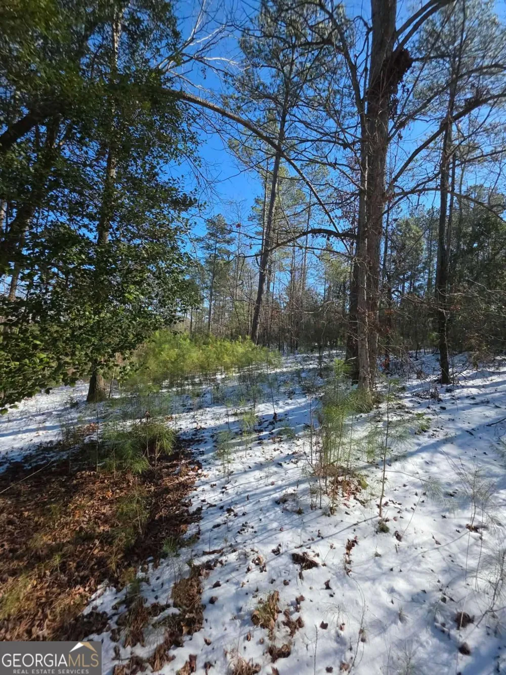 LOT 56 Hornets Bridge DR Elberton, GA 30635