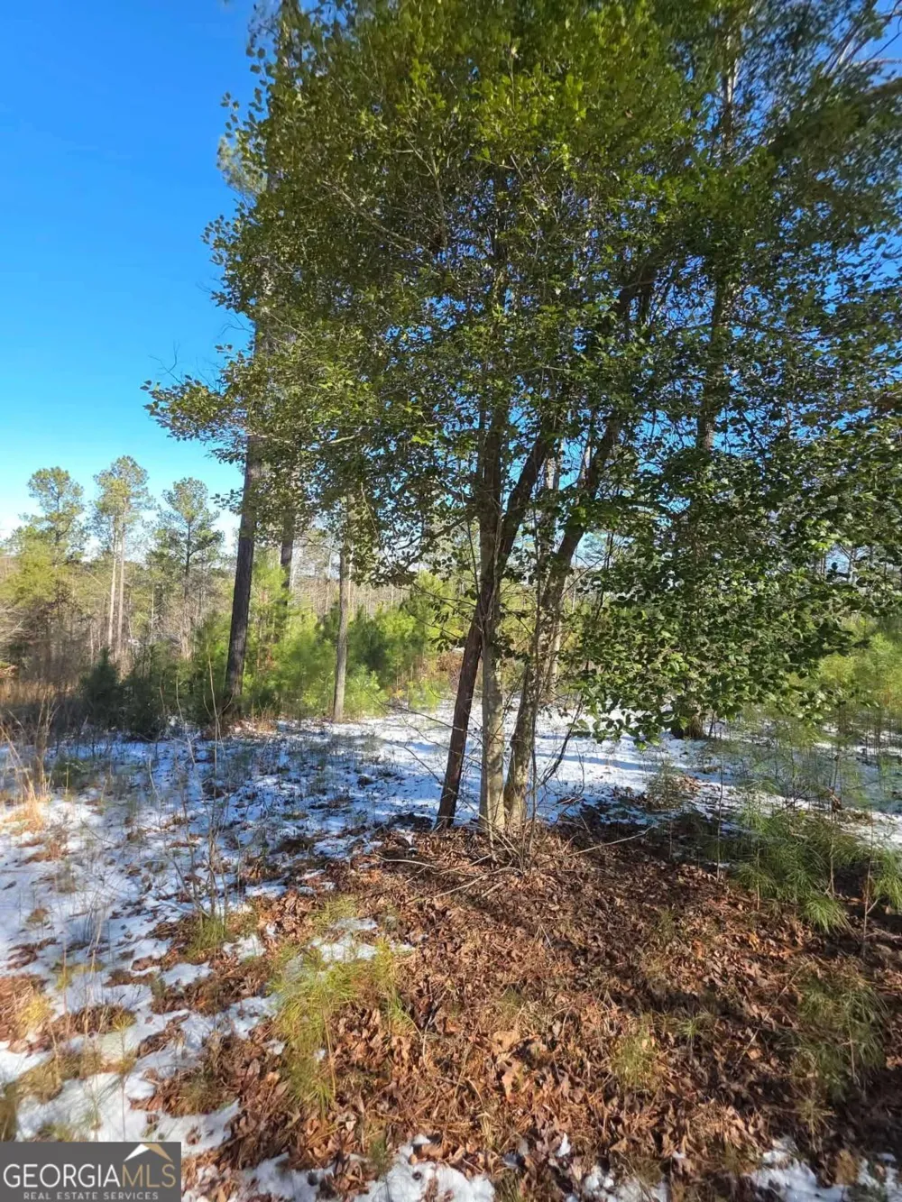 LOT 56 Hornets Bridge DR Elberton, GA 30635