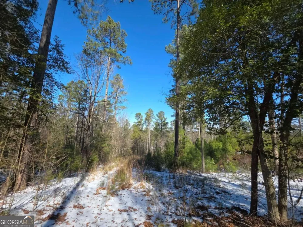 LOT 56 Hornets Bridge DR Elberton, GA 30635
