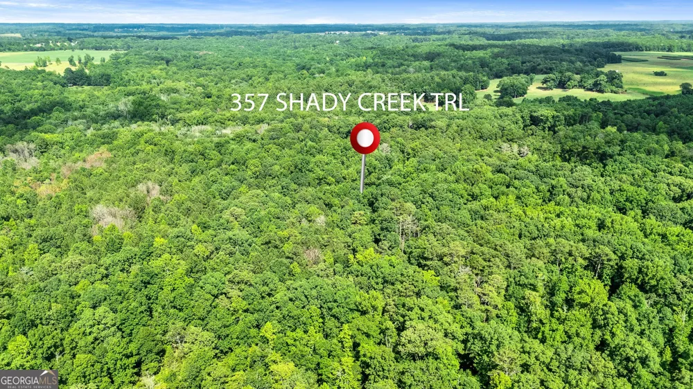357 Shady Creek TRL Williamson, GA 30292