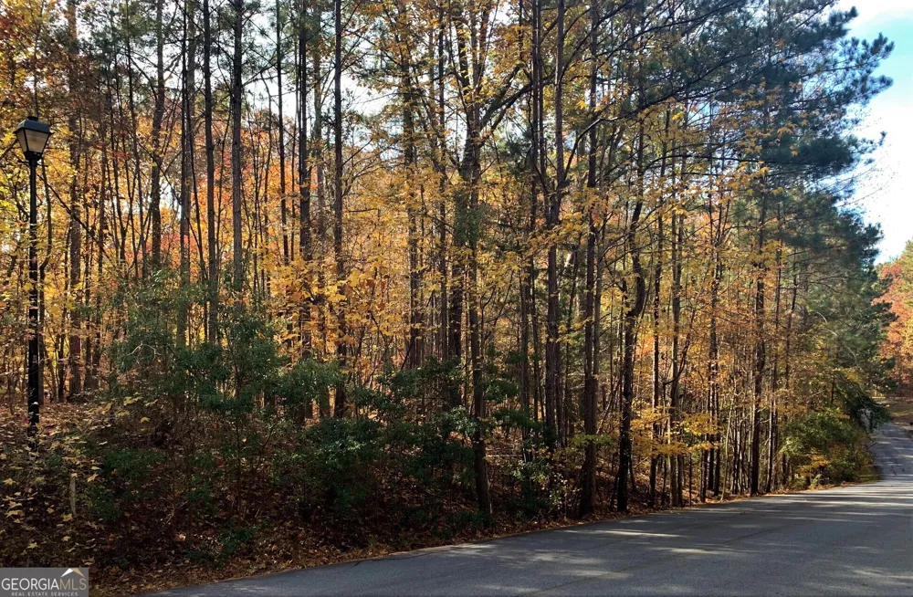 1520 Snug Harbor DR Greensboro, GA 30642