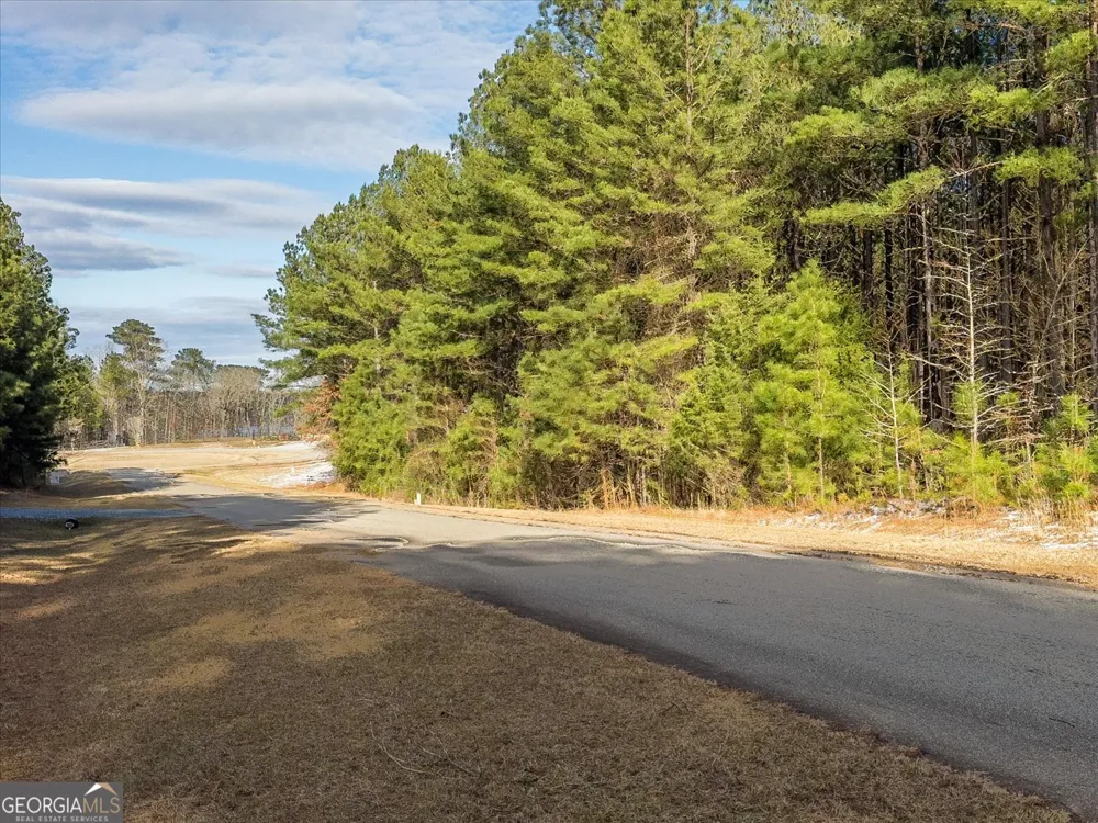 1250 Striper CV Tignall, GA 30668