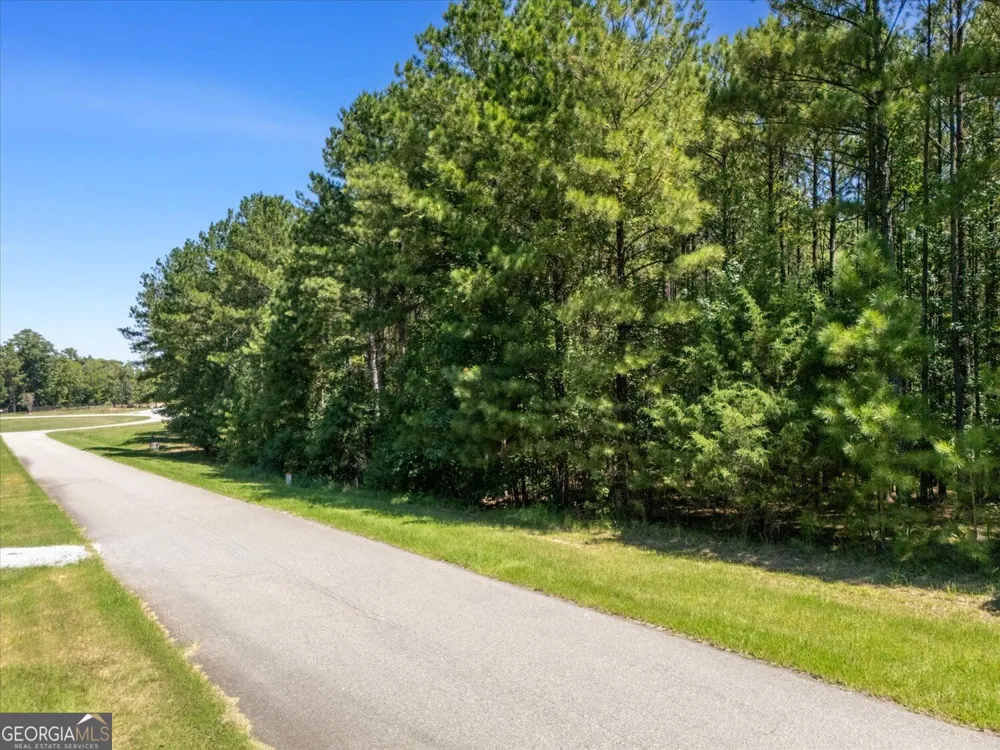 1250 Striper CV Tignall, GA 30668