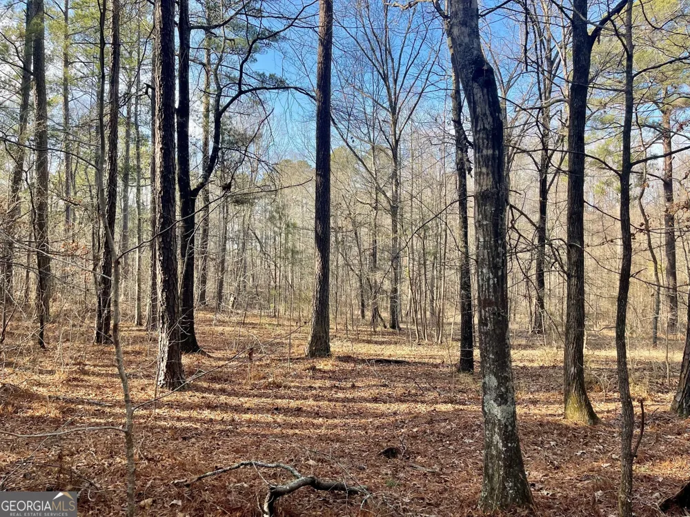 0 Padgett RD Senoia, GA 30276