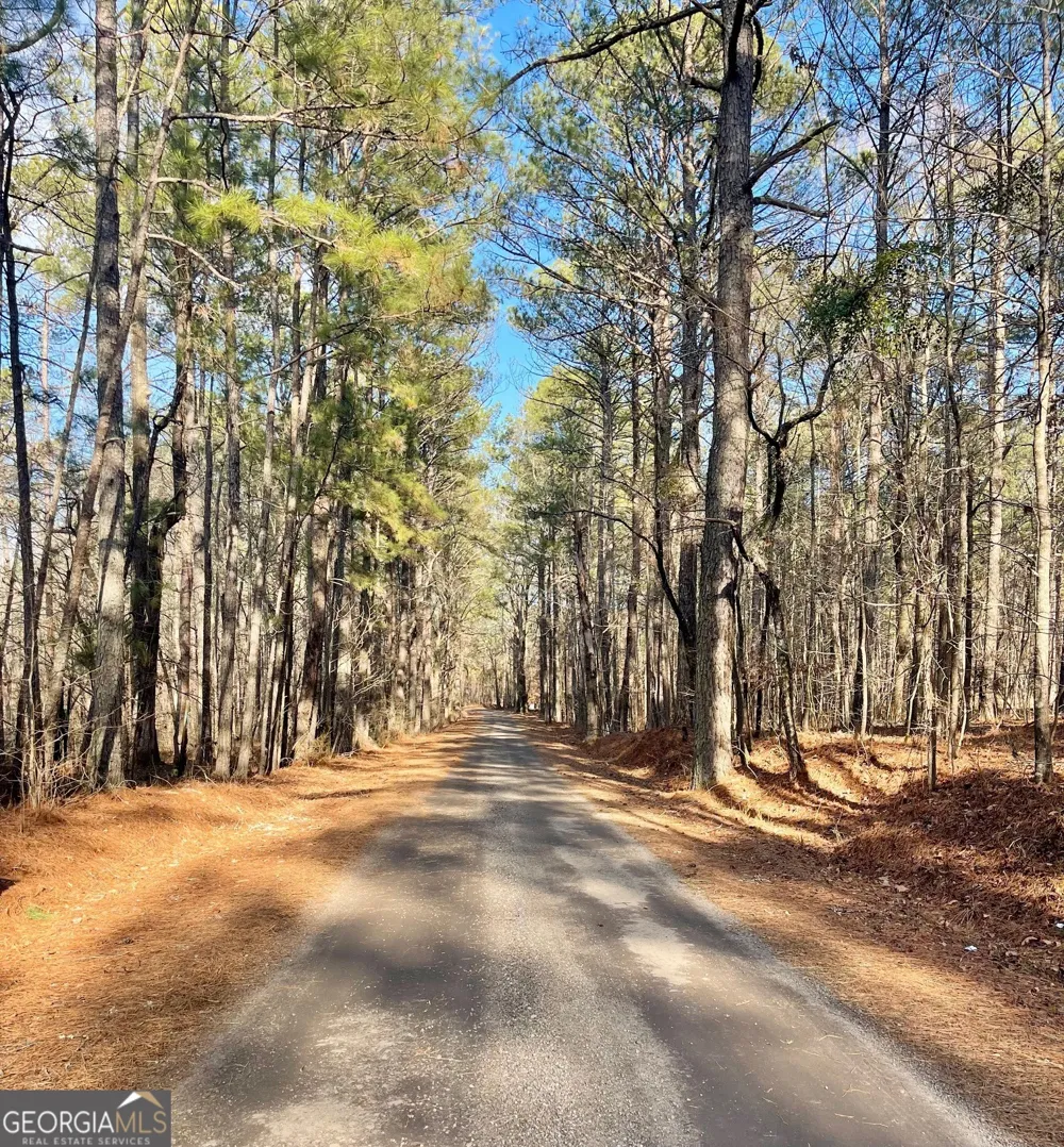 0 Padgett RD Senoia, GA 30276