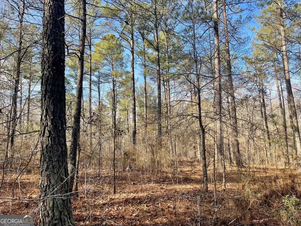 0 Padgett RD Senoia, GA 30276