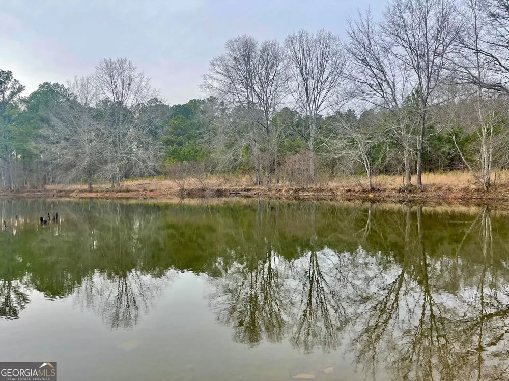 0 Padgett RD Senoia, GA 30276