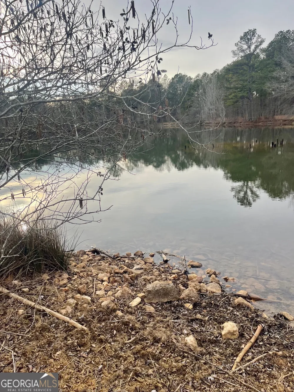 0 Padgett RD Senoia, GA 30276