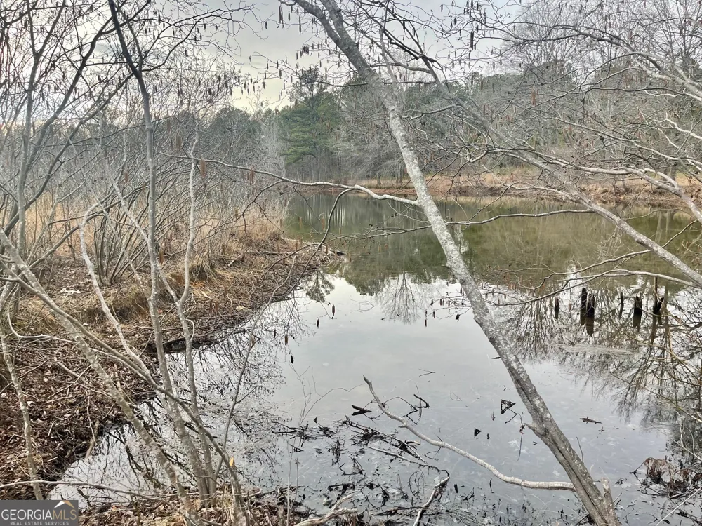 0 Padgett RD Senoia, GA 30276