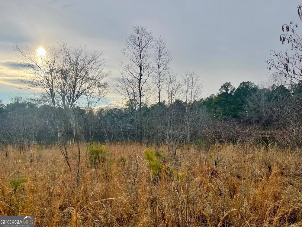 0 Padgett RD Senoia, GA 30276