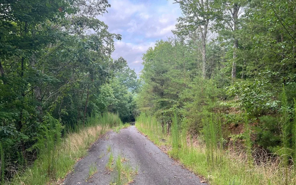 LOT 8 Preserve At Beach Mountain Brasstown, NC 28902