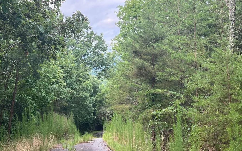 LOT 8 Preserve At Beach Mountain Brasstown, NC 28902