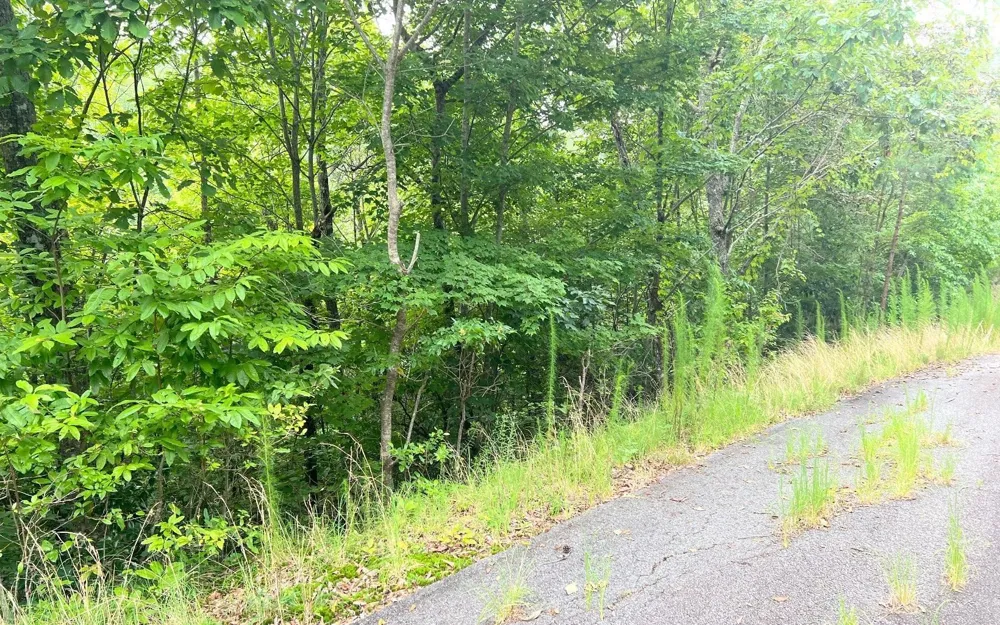 LOT 8 Preserve At Beach Mountain Brasstown, NC 28902