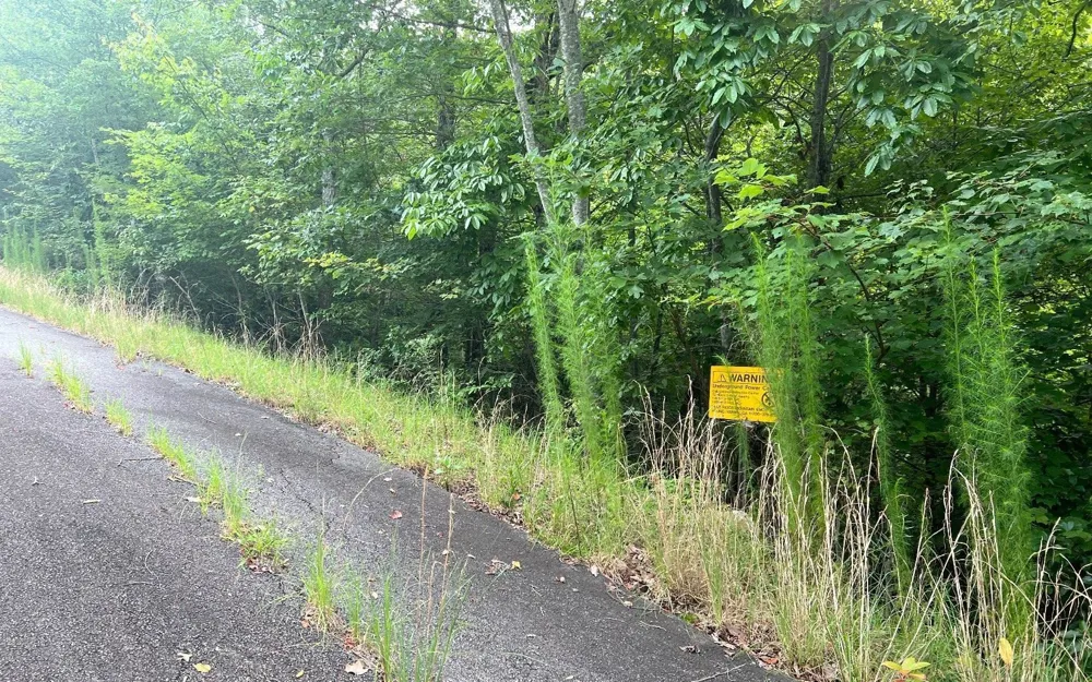 LOT 8 Preserve At Beach Mountain Brasstown, NC 28902