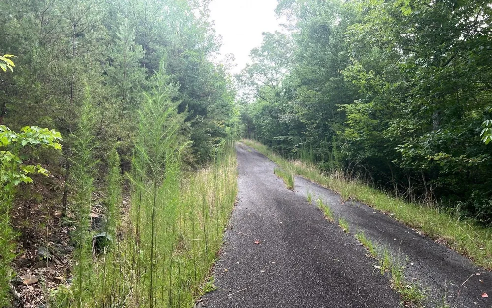 LOT 8 Preserve At Beach Mountain Brasstown, NC 28902
