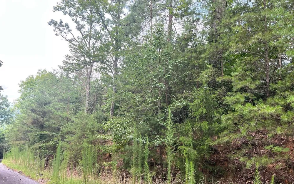 LOT 8 Preserve At Beach Mountain Brasstown, NC 28902