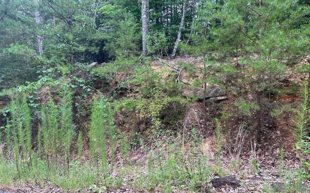 LOT 8 Preserve At Beach Mountain Brasstown, NC 28902