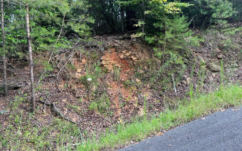 LOT 8 Preserve At Beach Mountain Brasstown, NC 28902