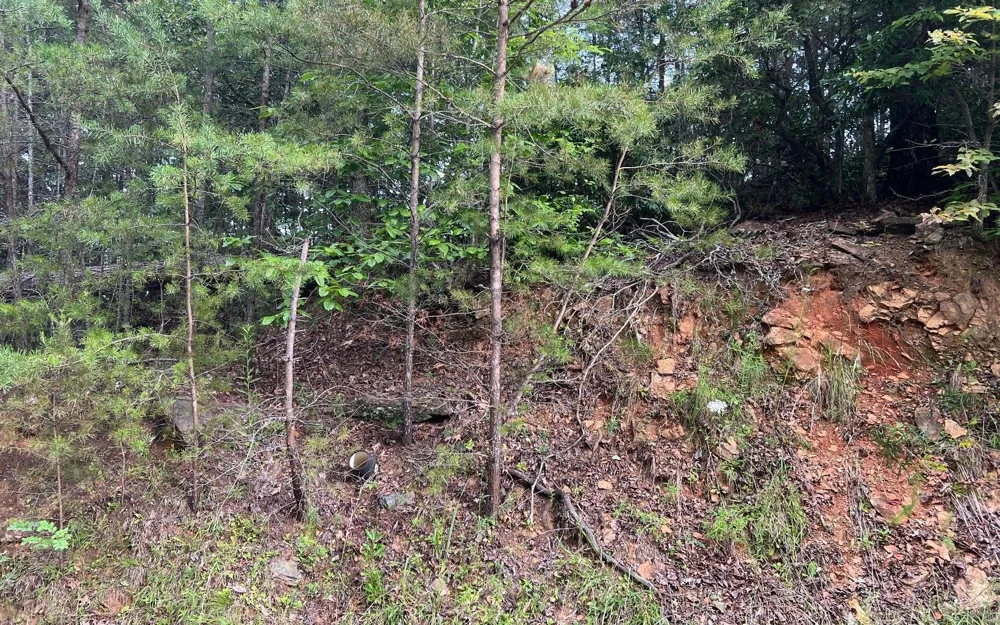 LOT 8 Preserve At Beach Mountain Brasstown, NC 28902