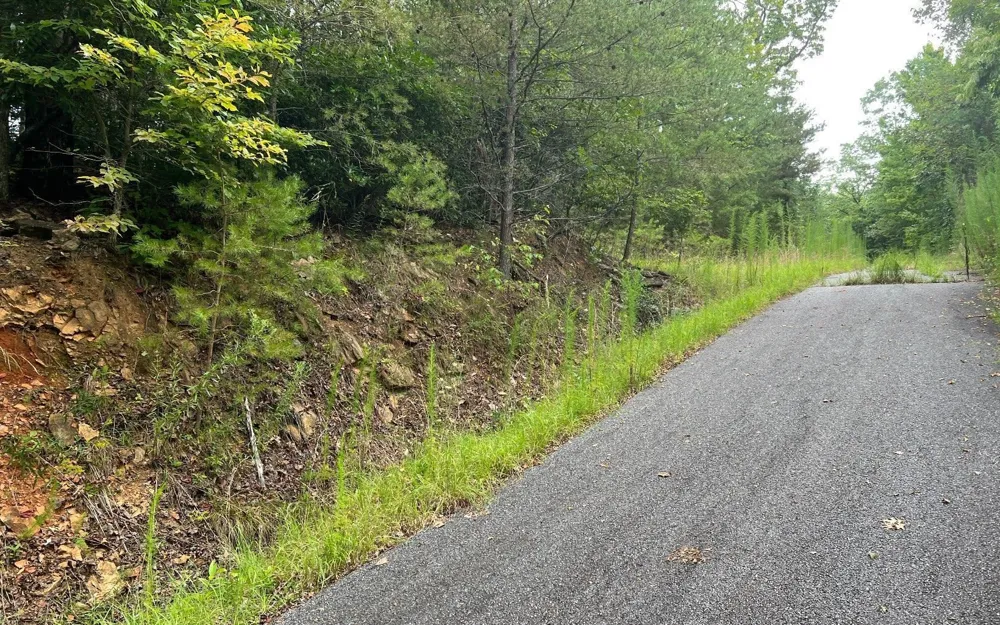 LOT 8 Preserve At Beach Mountain Brasstown, NC 28902