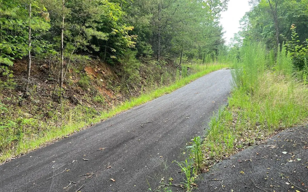 LOT 8 Preserve At Beach Mountain Brasstown, NC 28902
