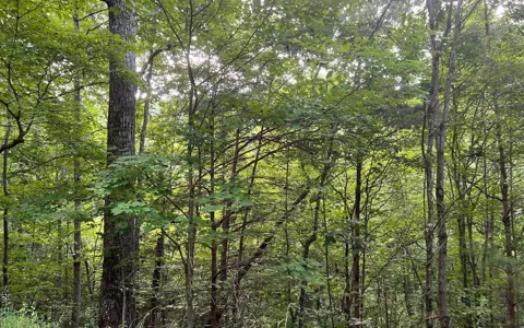 LOT 13 Preserve At Beach Mountain