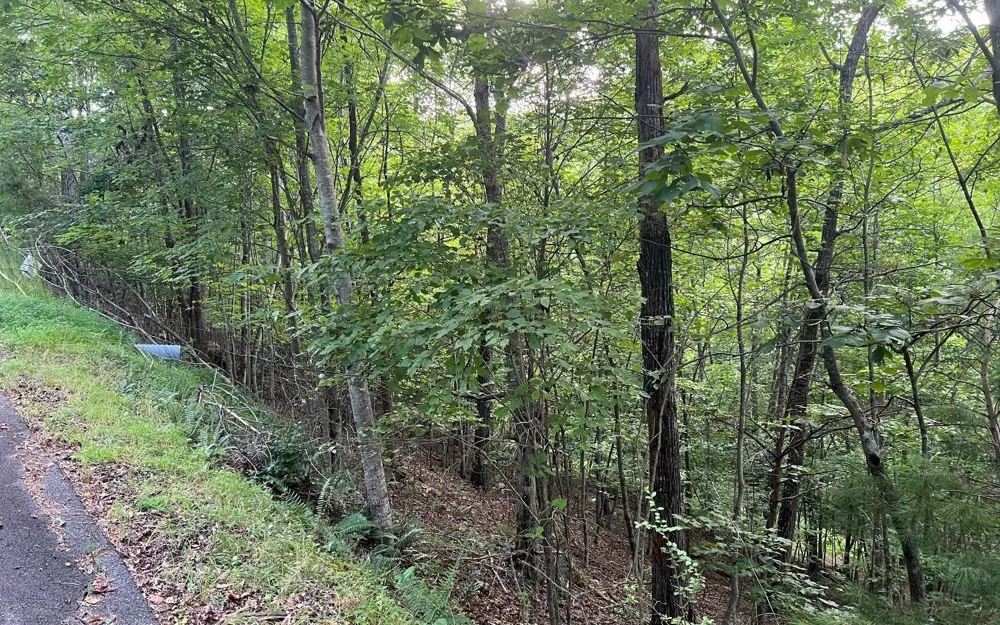 LOT 13 Preserve At Beach Mountain Brasstown, NC 28902