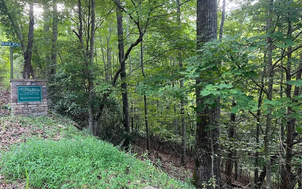 LOT 13 Preserve At Beach Mountain Brasstown, NC 28902