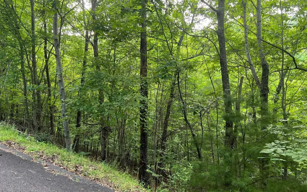 LOT 13 Preserve At Beach Mountain Brasstown, NC 28902