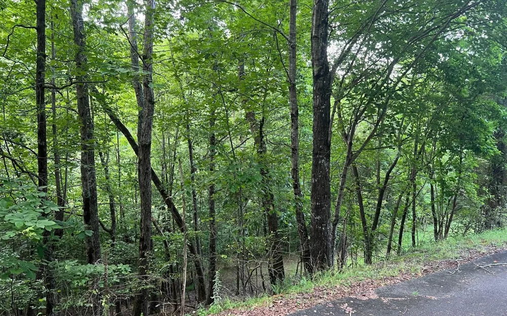 LOT 13 Preserve At Beach Mountain Brasstown, NC 28902
