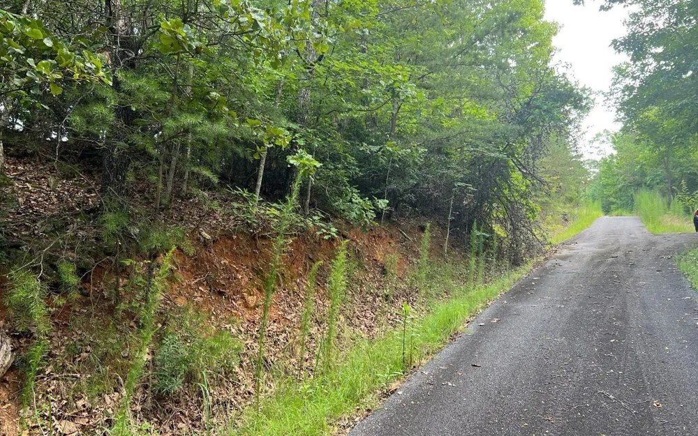LOT 13 Preserve At Beach Mountain Brasstown, NC 28902