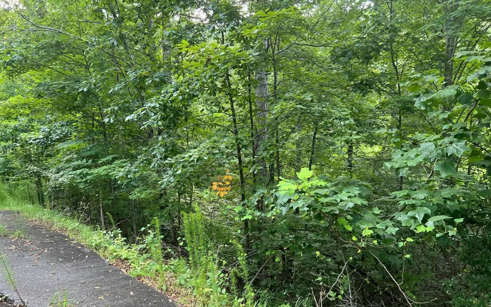 LOT 13 Preserve At Beach Mountain Brasstown, NC 28902