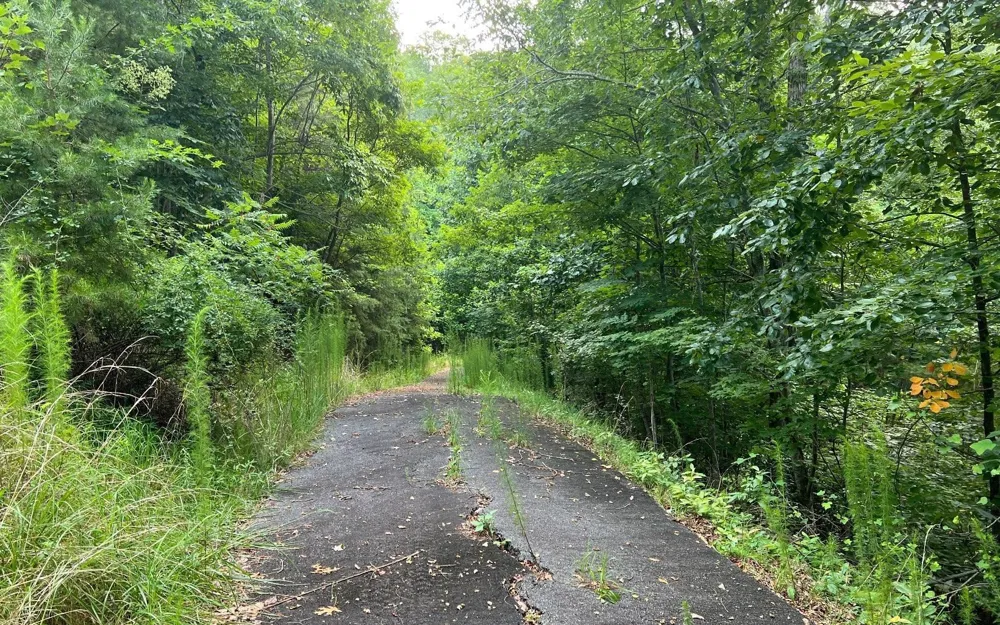 LOT 13 Preserve At Beach Mountain Brasstown, NC 28902