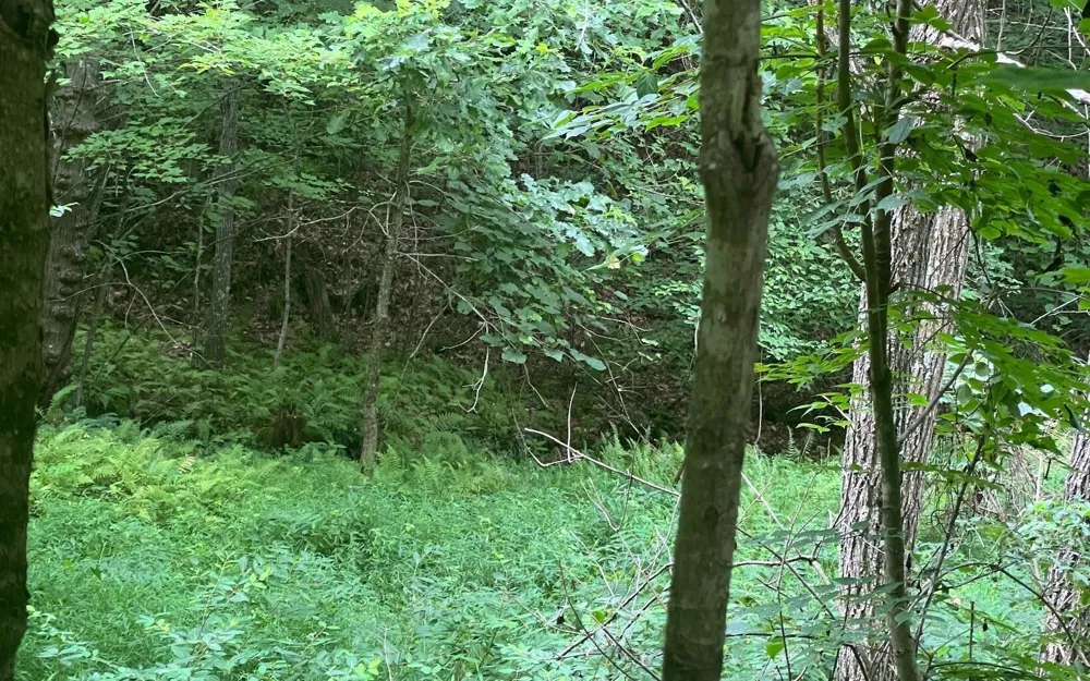 LOT 13 Preserve At Beach Mountain Brasstown, NC 28902