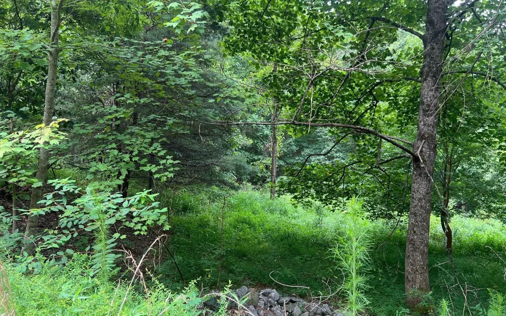 LOT 13 Preserve At Beach Mountain Brasstown, NC 28902