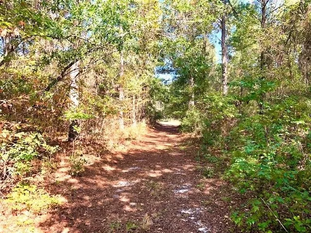 3221 Gordon HWY Grovetown, GA 30813