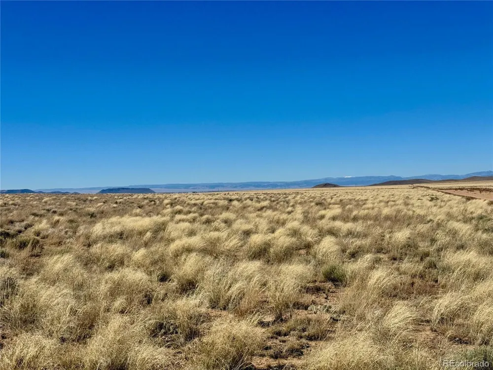 1 29th Street Blanca, CO 81123