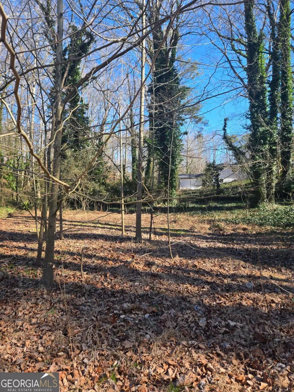 5674 Woodland DR Acworth, GA 30102